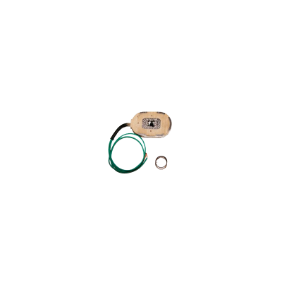 Magneto oval para plato 10" y 12"